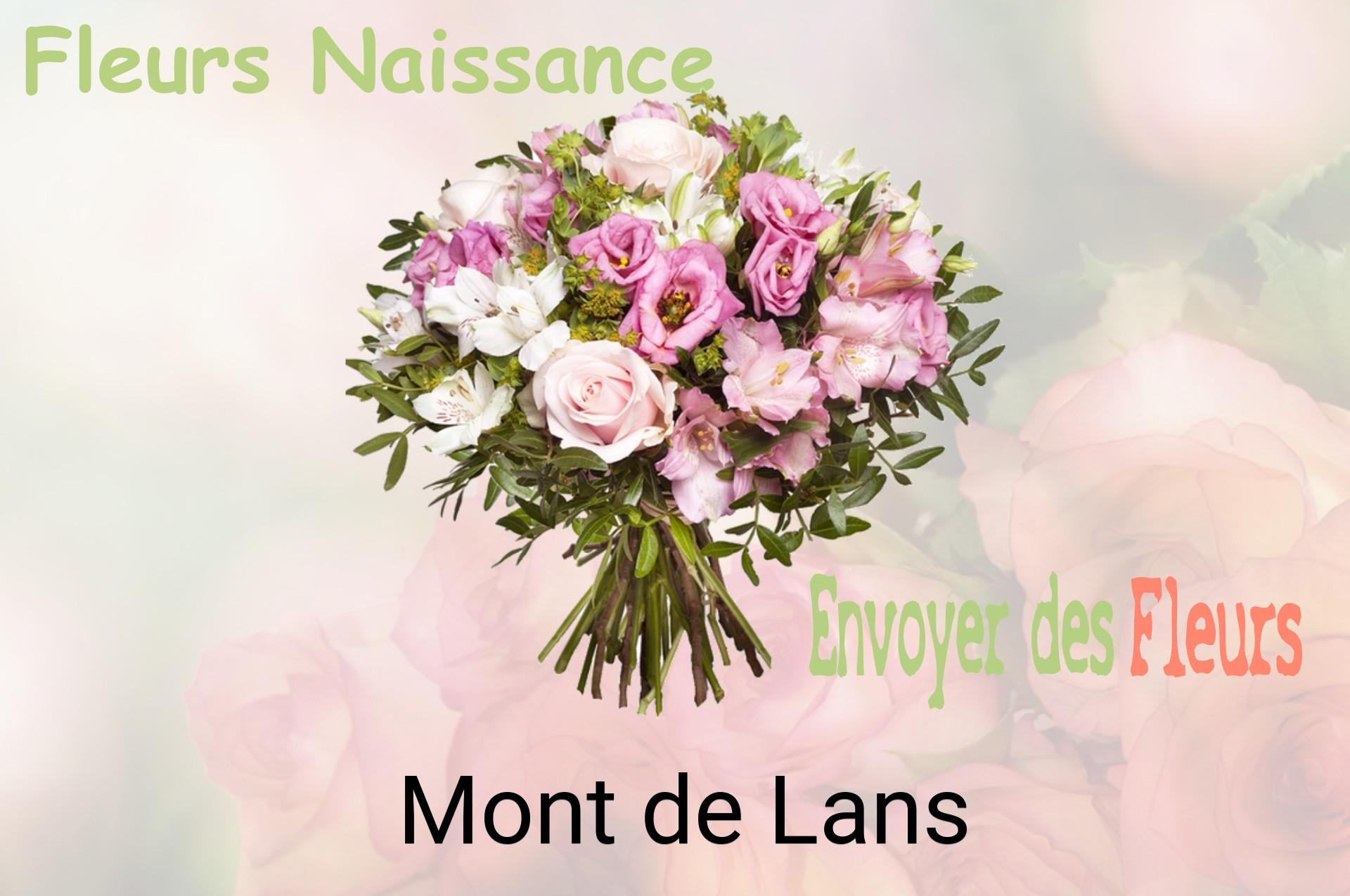 Bouquet de fleurs de naissance livré à Mont-de-Lans